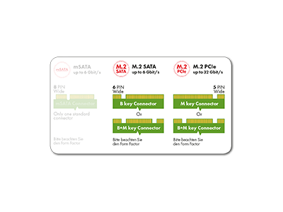 PCI Card IcyBox 2x M.2 SSD -> SATA3 PCIe x4 Host