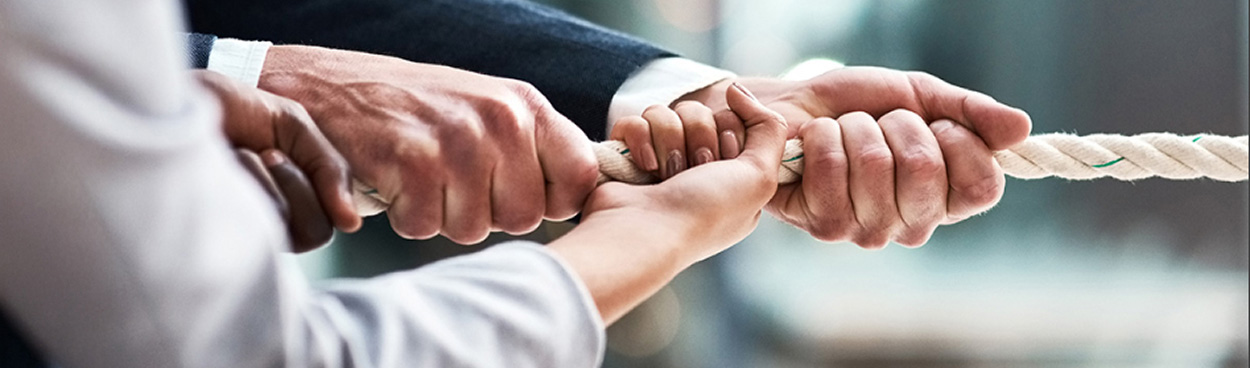 ALSO Network Partner management