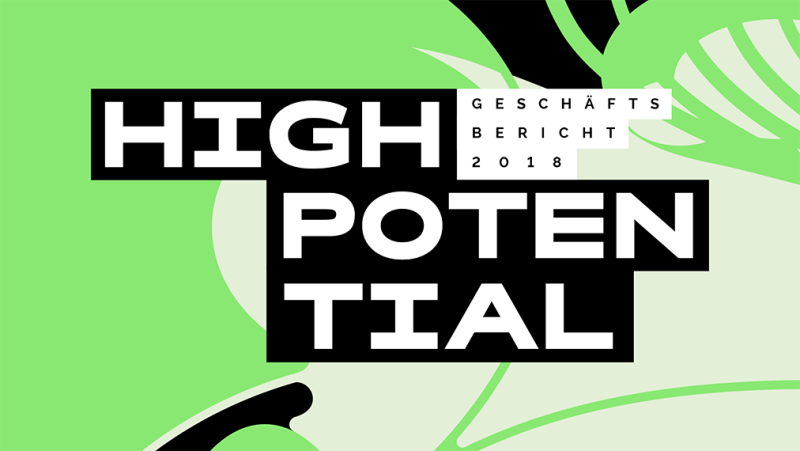 Gesch&auml;ftsbericht 2018