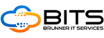 BITS logo