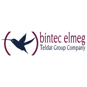 Bintec Elmeg